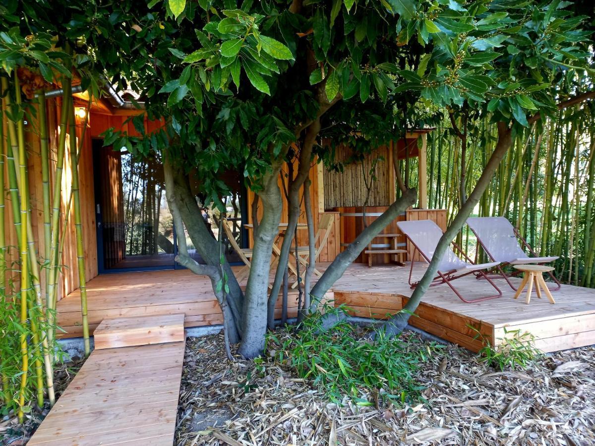Maisonette Et Bois